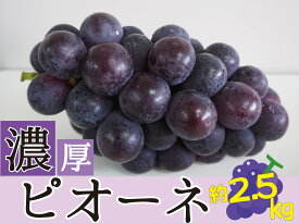 【ふるさと納税】種なしピオーネ＜約 2.5kg＞【2026年8月下旬～9月上旬頃発送予定】/ 和歌山県 かつらぎ町 ピオーネ ぶどう 葡萄 ブドウ たねなし 種なし ジューシー 甘い 令和8年発送 期間限定 フルーツ 果物【A-frks171】