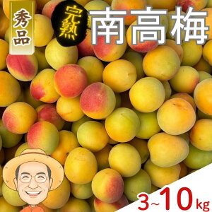 yӂ邳Ɣ[ŁzyGizn 썂~ 3kg 5kg 10kg ({ۏ100g) 2Lȏ JLG_ y2026N6{`6{z a̎RY ~ ~ ~Vbv ʎ  ~ E JLG