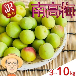 �y�ӂ邳�Ɣ[�Łz�y�󂠂�z�썂�~ �~ ��3kg ��5kg ��10kg(�{�ۏ�100g) �T�C�Y�s���� �J�L�G�����_�� �y2026�N6����{�`6�����{�����������z �a�̎R�Y �~���� �~�� �~�V���b�v �ʎ� ���� �~ �E��