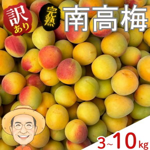 �y�ӂ邳�Ɣ[�Łz�y�󂠂�z���n �썂�~ ��3kg ��5kg ��10kg (�{�ۏ�100g) �T�C�Y�s���� �J�L�G�����_�� �y2026�N6�����{�`6�����{�����������z �a�̎R�Y �~���� �~�� �~�V���b�v �ʎ� ���� �~ �E