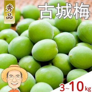 yӂ邳Ɣ[ŁzyGizÏ~ 3kg 5kg 10kg ({ۏ100g) L`MTCY JLG_ y2026N5{`6{z a̎RY ~ ~ ~Vbv ʎ  ~ E JLG