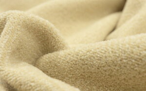 yӂ邳Ɣ[Łz y2FIׂ܂zyʃV[Dѕz w{ VOTCY D zc ѕzy5㔭z | Q pi lC   zc ѕz