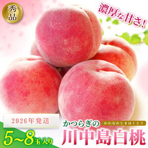 yӂ邳Ɣ[Łz 2026Ns\ a̎RY 쒆 5`8ʓ Gi s\y2026N7{8{딭z/ 炬 a̎RY   쒆 t[c ʕ  