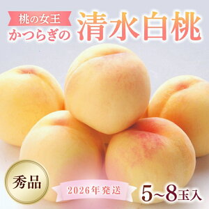 �y�ӂ邳�Ɣ[�Łz ��2026�N��s�\�� �a�̎R���Y ���̏����w���������x 5�`8�ʓ���@�G�i�y2026�N7�����{����8����{���딭���z�b�� ���� ���� �ʕ� ��s�\�� �t���[�c �a�̎R�� ���炬�� 