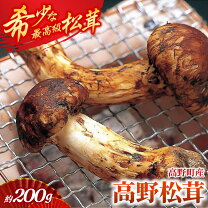 楽天市場】最高級 松茸の通販
