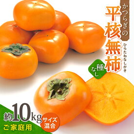 【ふるさと納税】 【訳あり・ご家庭用】和歌山県産 平核無柿約10kg【2025年10月上旬〜11月上旬頃順次発送】【MG3w】 | 柿 たねなし柿 平核無柿 果物 フルーツ 和歌山 和歌山 特産品 先行予約 お取り寄せ