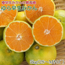 【ふるさと納税】【極早生みかんの逸品】和歌山県産ゆら早生みかん約5kg★2024年10月中旬頃より順次発送【TM120】 | 和歌山県 和歌山 九度山町 楽天ふるさと 納税 返礼品 支援品 みかん ミカン 蜜柑 お取り寄せ ご当地 フルーツ 果物 くだもの