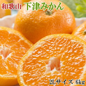 yӂ邳Ɣ[ŁzyYEGiza̎RÂ݂6kgi2LTCYj2025N11{菇yTM75z | yVӂ邳Ɣ[ yVӂ邳 [ ԗi xi x ԗ ݂  