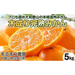 yӂ邳Ɣ[Łzy2025N12zZn ؐ艷B݂ 5kg ~bNXTCY a̎RY | t[c ʕ  Hi lC  