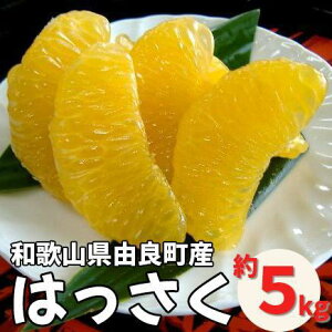 yӂ邳Ɣ[Łza̎RRǒY͂ 5kg Gi TCY܂ (L܂2Lꂩ͂) mSL3n | t[c a̎R yVӂ邳 [ ԗi xi x ʕ ӂ[ 