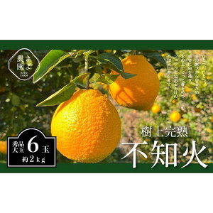yӂ邳Ɣ[Łzsm 󏭂Ȏ㊮nI Gi 6 (2kg)@y2026N2{`4{܂ŔzyKT2z | t[c ʕ  Hi lC  