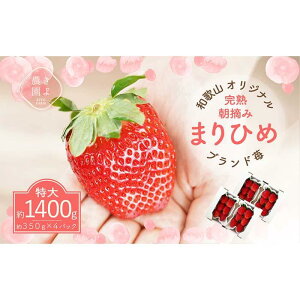 yӂ邳Ɣ[Łz܂Ђ߃C`S E 6`11×4pbNm2026N1{蔭nms\nmKT4n |   t[c ʕ  Hi lC  