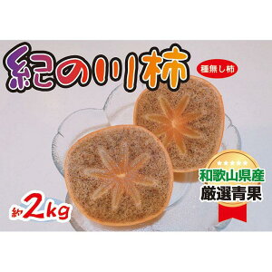 yӂ邳Ɣ[ŁzĊÂ I̐` 2kg a̎RIWimKF03n | `  t[c ʕ  Hi lC  