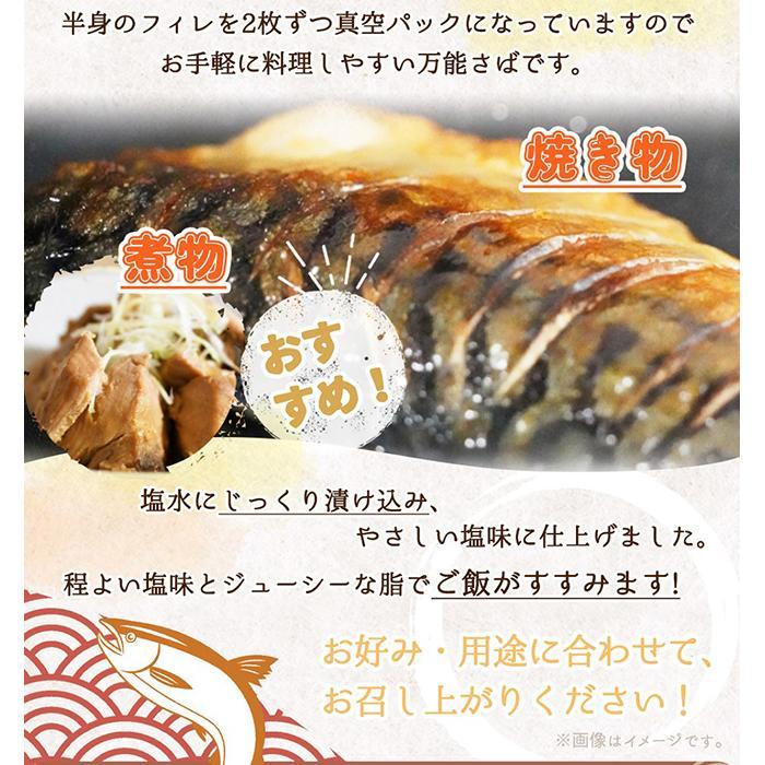 ふるさと納税 G6171_和歌山魚鶴仕込の 魚 切身 詰め合わせ 3種8枚 セット 和歌山県湯浅町