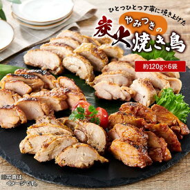 【ふるさと納税】ひとつひとつ丁寧に焼き上げた、やみつきの「炭火焼き鳥」6パック | 鶏 肉 鶏肉 鳥 若鶏 小分け 個包装 使いやすい おつまみ おかず 時短 晩御飯 炭火焼き 炭火焼鳥 お手軽 取り寄せ グルメ タレ 塩梅 バジル カレー