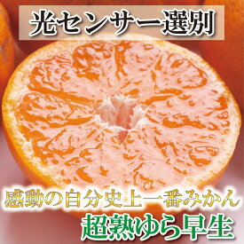 【ふるさと納税】厳選 超熟有田みかん2kg+60g（傷み補償分）＜2024年11月より発送＞ | 和歌山 みかん ミカン 蜜柑 柑橘 柑橘類 かんきつ 果物 フルーツ 旬の果物 食品