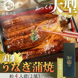 【ふるさと納税】大型サイズふっくら柔らか　国産うなぎ蒲焼き　2尾 | 和歌山県 和歌山 九度山町 ふるさと 納税 楽天ふるさと お礼の品 名産品 特産品 取り寄せ お取り寄せ グルメ お取り寄せグルメ ご当地 ご当地グルメ うなぎ ウナギ 鰻 国産うなぎ蒲焼き 蒲焼き 蒲焼