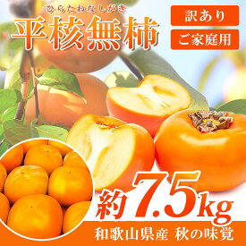 【ふるさと納税】【ご家庭用】平核無柿（ひらたねなしがき）約7.5kg 和歌山秋の味覚【2024年発送】【UT32】