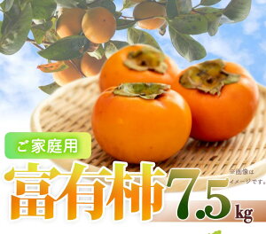 yӂ邳Ɣ[Łzyƒp킯za̎RH̖o@xL`@7D5kgu2025N11{ȍ~\vyUT47z | 󂠂 yVӂ邳Ɣ[ yVӂ邳 [ ԗi xi x ԗ 