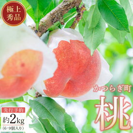 【ふるさと納税】桃 極上秀品 約2kg 6～9個入【先行予約】【2024年6月中旬頃から発送】【KG2】 | もも フルーツ 果物 くだもの 食品 人気 おすすめ 送料無料