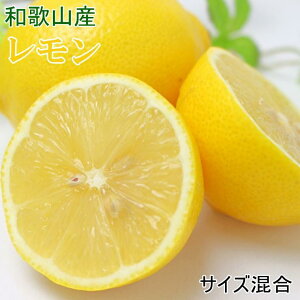 yӂ邳Ɣ[ŁzmYna̎RY5kgiTCYj2026N3{菇mTM129n | t[c ʕ  Hi lC  