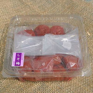 yӂ邳Ɣ[Łzyƒpz󂠂Ì~800g IB썂~߂ڂ 킯 a̎RY Iɍq{܁yTC12z | ~~ Hi HHi lC  