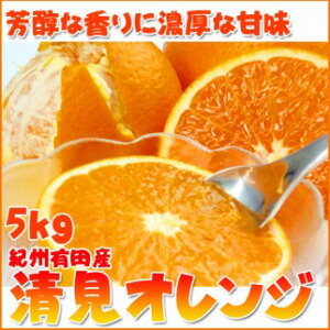 yӂ邳Ɣ[ŁzƂɂW[V[IW@5kgm2026N3{ȍ~nms\nmUT53n | a̎R xR ӂ邳 [ yVӂ邳 ԗi ̕i Yi Yi 