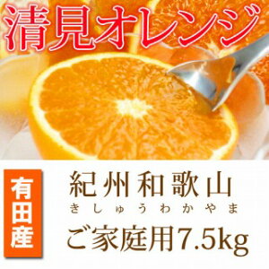 yӂ邳Ɣ[ŁzmƒpAnIBLcYIW@7.5kgm2026N3{ȍ~nms\nmUT54n | 󂠂 a̎R xR ӂ邳  n A 킯 I