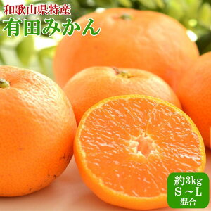 yӂ邳Ɣ[Łz[Gi]a̎RLc݂3kgiS`LTCYj2025N11{菇yTM96z | ӂ邳 [ yVӂ邳 x xi ԗi ̕i Y Yi Y Yi 