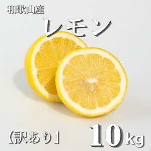 yӂ邳Ɣ[Łza̎RY  10kg m󂠂n mUS3n |  k t[c ʕ  Hi lC  