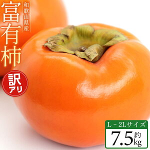 yӂ邳Ɣ[Łzy2025N11{`za̎RY 󂠂 xL` 7.5kg L ~ 2L TCY ƒp ` Iʏ  | `  t[c ʕ  Hi lC  