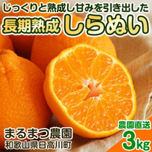 yӂ邳Ɣ[Łznʂ 3kg ZȃRNƊÂ _ƒ a̎RY y2026N5z | sm t[c ʕ  Hi lC   Yn