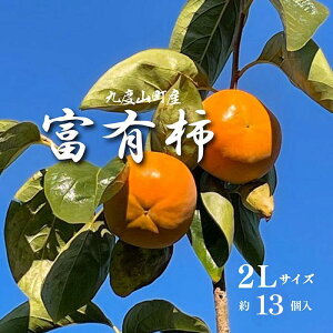 yӂ邳Ɣ[Łzms\nxL`iGȏ2LTCY13jm2025N11{菇n | t[c ʕ  Hi lC  