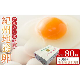 【ふるさと納税】アルカリ化 玉子 紀州地養卵 40個～80個【通常便・定期便】卵 たまご 玉子 タマゴ 鶏卵 まとめ買い オムレツ 卵かけご飯 朝食 業務用 | 卵 食品 人気 おすすめ 送料無料 定期便