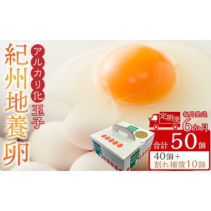 【ふるさと納税】アルカリ化 玉子 紀州地養卵 40個〜80個【通常便・定期便】卵 たまご 玉子 タマゴ 鶏卵 まとめ買い オムレツ 卵かけご飯 朝食 業務用 | 卵 食品 人気 おすすめ 送料無料 定期