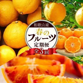 【ふるさと納税】定期便全3回 【2月・3月・4月発送】 和歌山の春の柑橘 （ポンカン・はるか・ブラッドオレンジ）秀品【TM173】 | フルーツ 果物 くだもの 食品 人気 おすすめ 送料無料