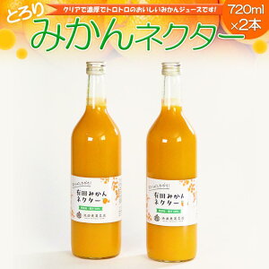 yӂ邳Ɣ[ŁzƂ@݂lN^[720ml×2{mIKE225n | t[c ʕ  Hi lC  