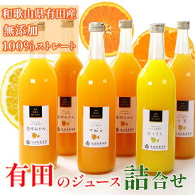 【ふるさと納税】無添加・有田のジュース詰合せ720ml×6本・4種［種類おまかせ］［IKE240］ | フルーツ 果物 くだもの 食品 人気 おすすめ 送料無料