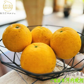 【ふるさと納税】【選べる容量】有田育ちの 爽やか 河内晩柑 (ご家庭用) 約3.5kg or 約7.5kg［2027年4月から発送］［MS62］ | フルーツ 果物 くだもの 食品 人気 おすすめ 送料無料