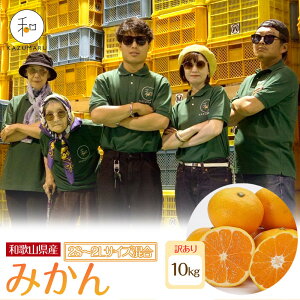 yӂ邳Ɣ[ŁzyIׂeʁETCYz s\ 󂠂 X{_̎I ݂ 2kg`10kg a̎RY mkCEEzsn | ݂  t[c ʕ  Hi lC 