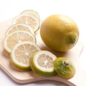 yӂ邳Ɣ[Łz2.5kg+250giݕ⏞jya̎RLcYzyh܁EWAXsgpAS̍YzmIKE127n | a̎R ʕ  t[c {̉ʕ ʎ k k 񂫂 