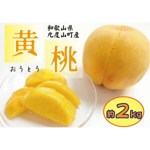 yӂ邳Ɣ[Łza̎R̉(M) 2kg yZz s\y9{`{z |  t[c ʕ  Hi lC  