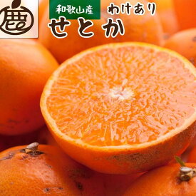 【ふるさと納税】【選べる容量】［先行予約］家庭用 せとか1kg～10kg+250g（傷み補償分）［柑橘・春みかんの王様］［わけあり・訳あり］［光センサー選果・食べ頃出荷］［IKE63］ | 和歌山県 和歌山 九度山町 楽天ふるさと 納税 みかん ミカン 蜜柑 柑橘