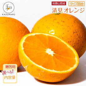 【ふるさと納税】【選べる容量】 贈答用 森本農園の手選別 厳選清見オレンジ 約2～10kg 和歌山県産 サイズ混合 ［北海道・沖縄・離島配送不可］［2027年2月上旬から順次発送予定］ | みかん 蜜柑 フルーツ 果物 くだもの 食品 人気 おすすめ 送料無料