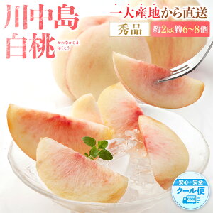 yӂ邳Ɣ[Łzs\Imn쒆@2kg 6`8m2026N7珇nmGin_ƌI mKG13n |  t[c ʕ  Hi lC  