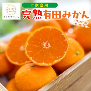 【ふるさと納税】【選べる容量・発送月】ご家庭用 完熟有田みかん 約1〜10kg 【2025年10月発送〜】 農家直送 訳あり | 和歌山県 和歌山 九度山町 みかん ミカン 果物 フルーツ 柑橘類 柑橘 有田