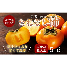 【ふるさと納税】柿 種無し 赤秀品 超大玉 1.8kg 5～6個 ［先行予約］［2026年9月末頃から発送］［KG4］ | 柿 かき フルーツ 果物 くだもの 食品 人気 おすすめ 送料無料