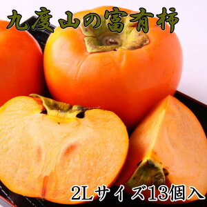 �y�ӂ邳�Ɣ[�Łz�y���ʌ���z�ጵ�I�E�Y�����x�R���̕x�L�`2L�T�C�Y13���聚2026�N11�����{����菇������ | ��x�R�� �x�L�` ��� �����x �H�̖��o �l�C �������� �` �t���[�c �ʕ� ��