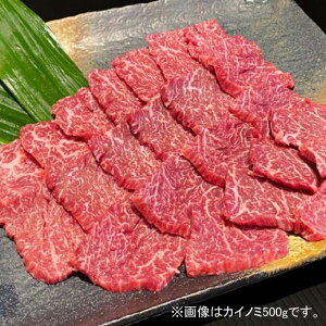 yӂ邳Ɣ[ŁzF싍 󏭕 JCm~܂̓TT~ ēp 500gyMT41z | a̎R a̎R xR yVӂ邳 [ ԗi xi 񂹃O   O 