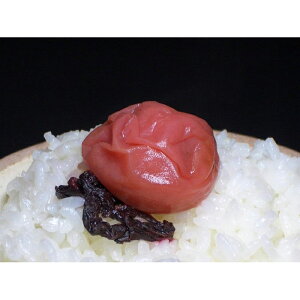 yӂ邳Ɣ[ŁzIB썂~@Д~@500g | a̎R xR a̎R yVӂ邳 [ xi ԗi 񂹃O  O ~ ~ ߂ڂ ~ ~ 